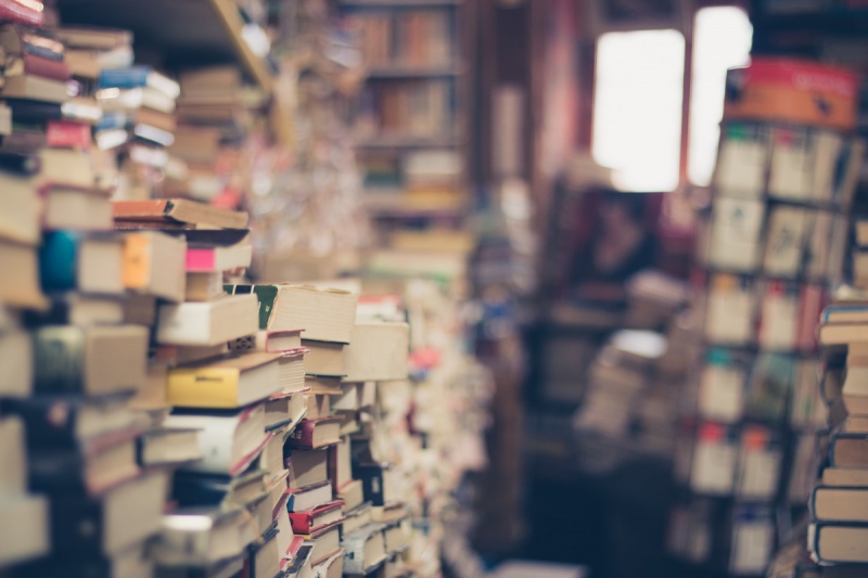 boutique-VINON SUR VERDON-min_books_stack_book_store_stack_of_books_2nd_hand_retro_hipster_shop-829090
